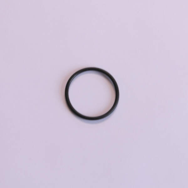 O-ring of adapter dn40 for steam generators (e-2209010)