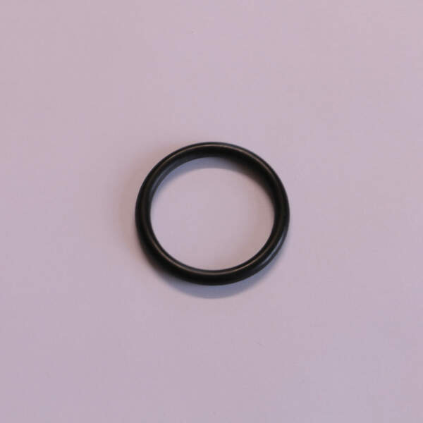 O-ring seal for steam generators (e-2204022)